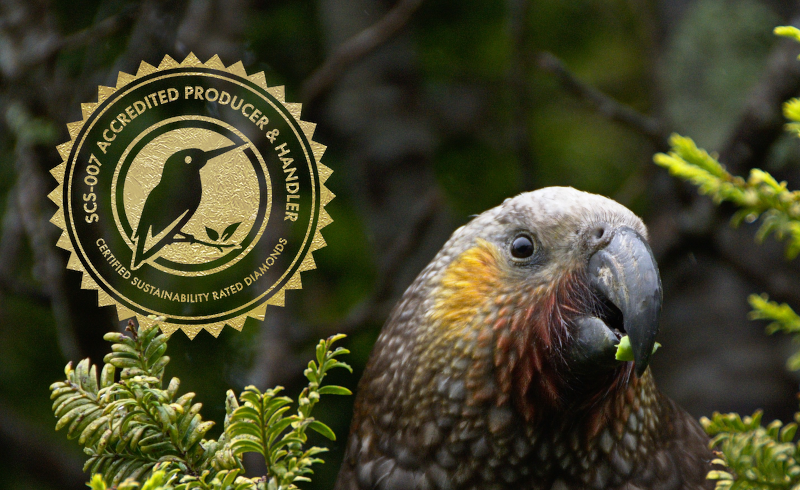 NZ Kea bird in nature with a the SCS-007 accredited Producer and handler for certified sustainability rated diamonds logo
