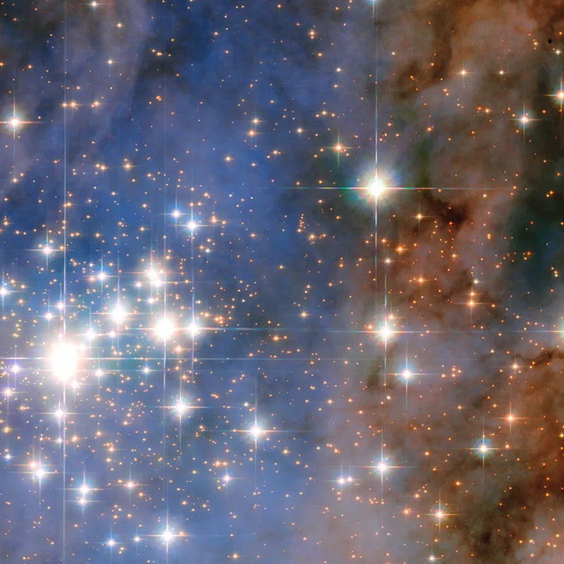 NASA’s Hubble Space Telescope shows a glittering star cluster that contains a collection of some of the brightest stars seen in our Milky Way galaxy.